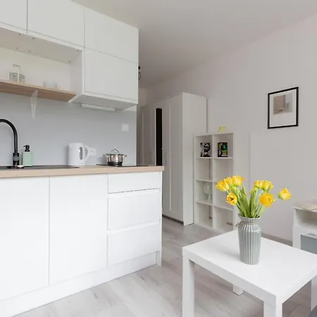 Apartment Pet-friendly Batorego By Renters