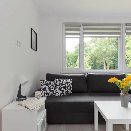 Pet-friendly Batorego By Renters * ワルシャワ